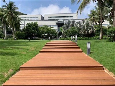 Bambusz fa terasz